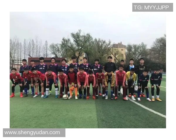 信阳少儿足球热潮兴起培养未来足球明星的摇篮与希望