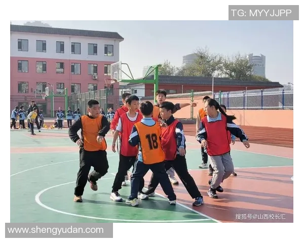 小学篮球队员的成长之路与团队精神的培养探讨